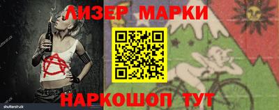 шишки Кингисепп