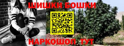 шишки Кингисепп