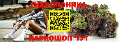 шишки Кингисепп