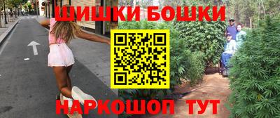 шишки Кингисепп