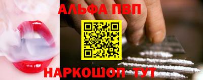 шишки Кингисепп