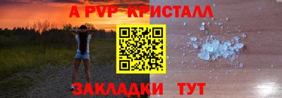шишки Кингисепп