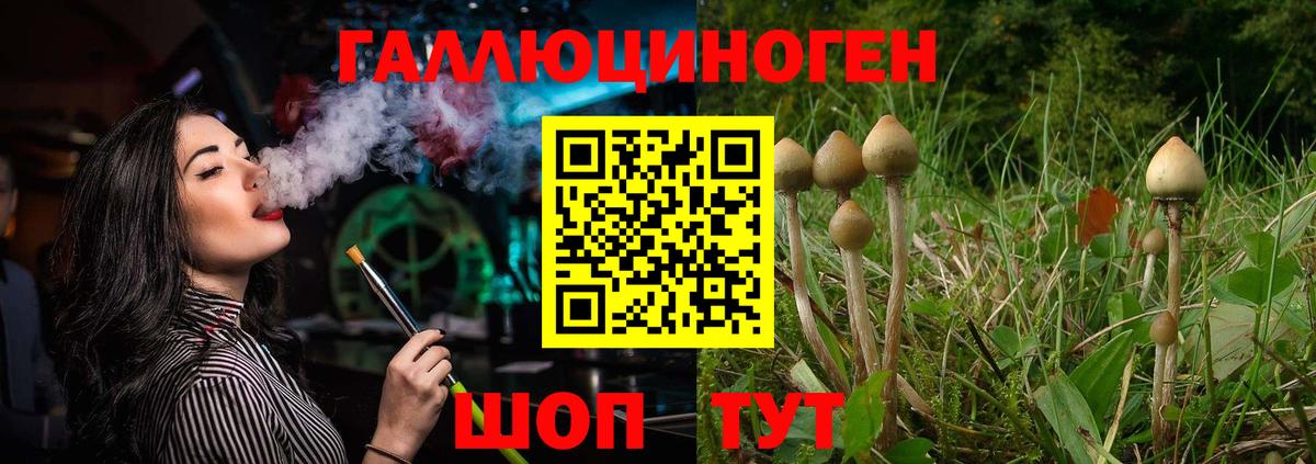 Псилоцибиновые грибы мухоморы Лысьва
